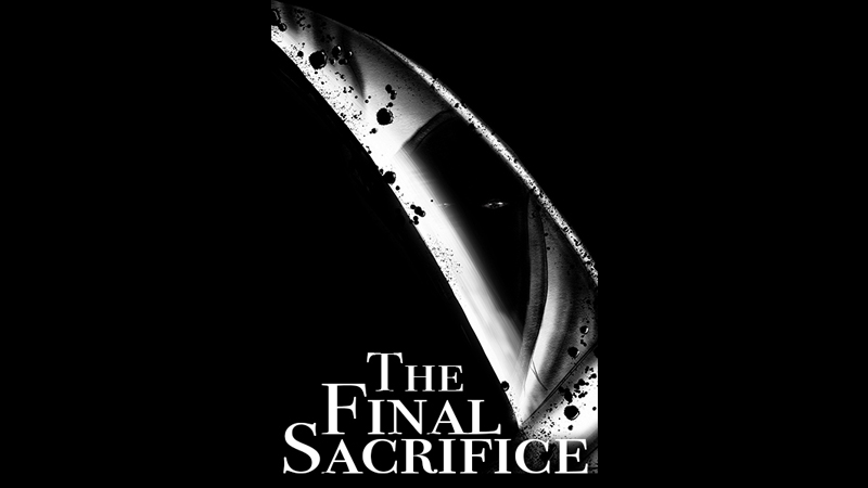 "Chapter 30: The Final Sacrifice"