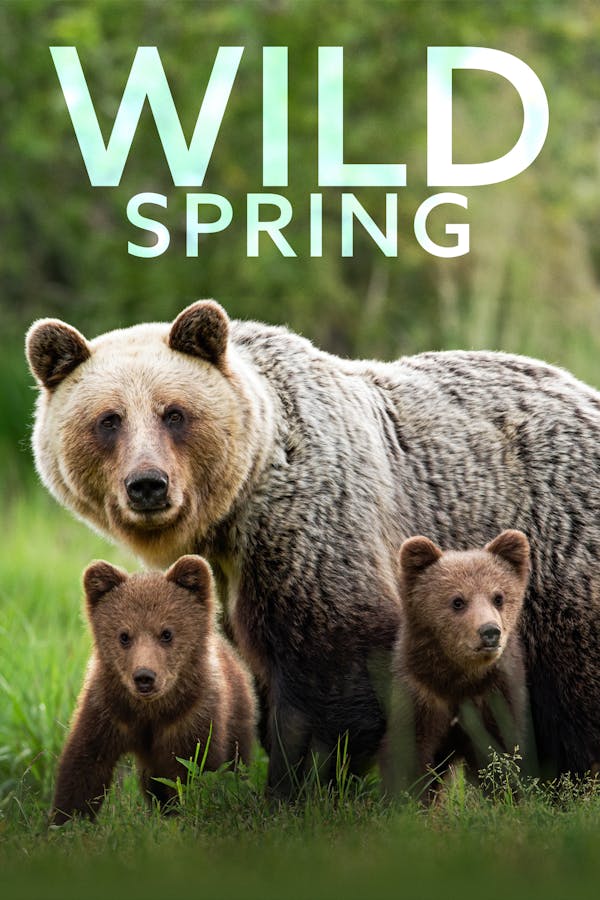 Wild Spring