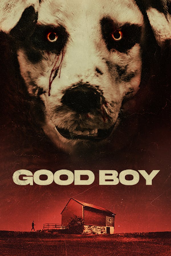 Good Boy