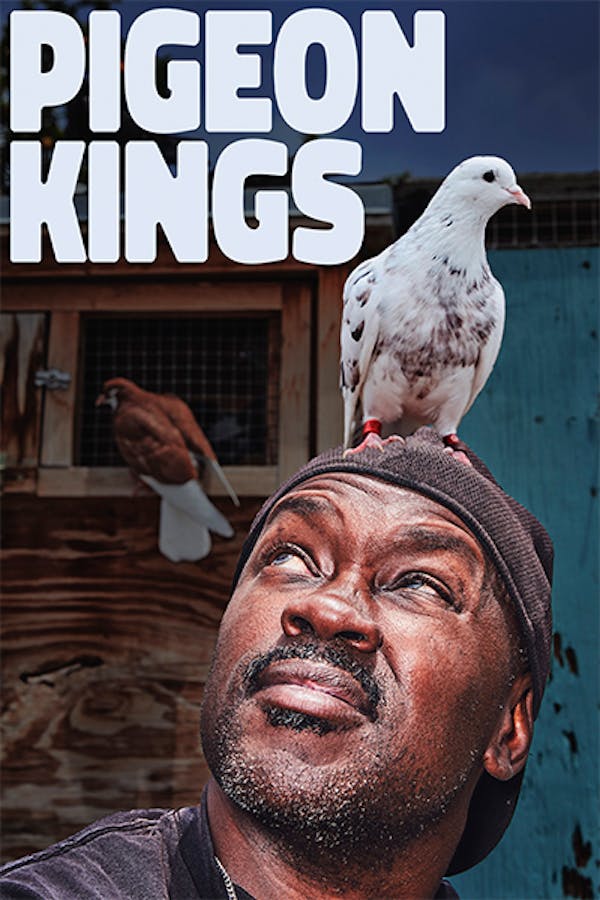 Pigeon Kings