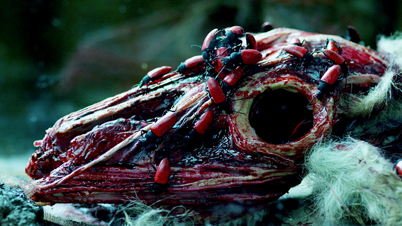 "Deadwax Part Seven"