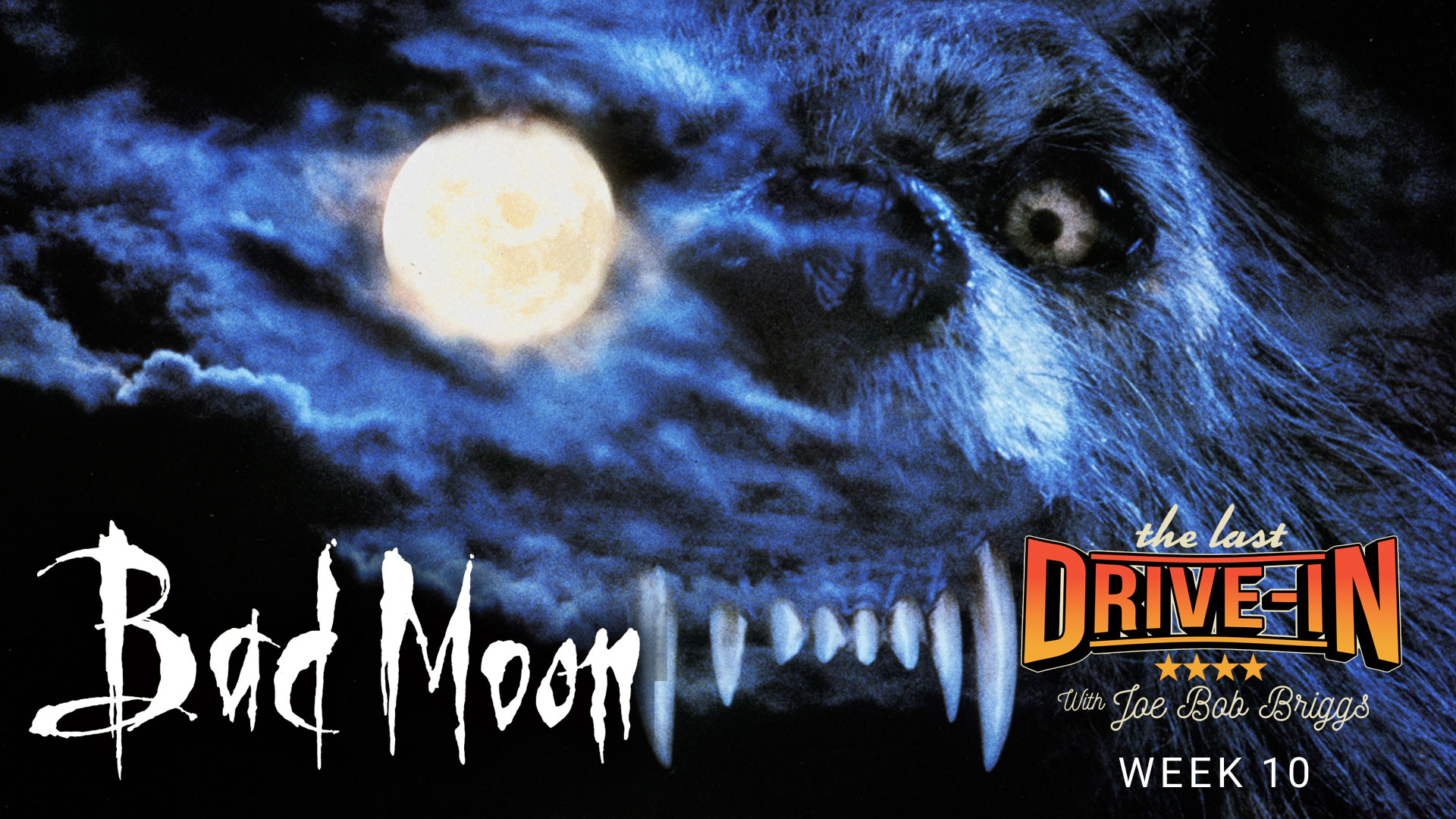"Week 5: Bad Moon"