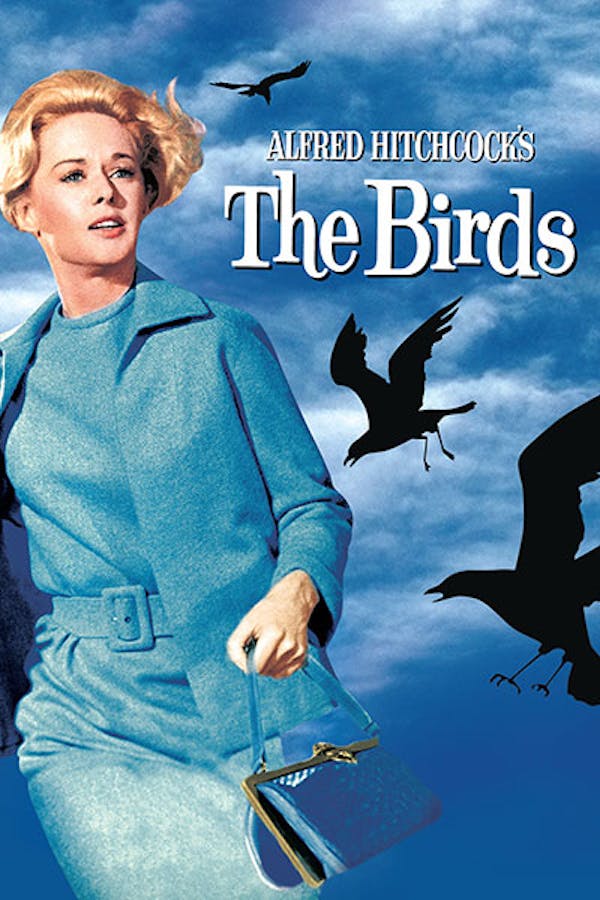 The Birds