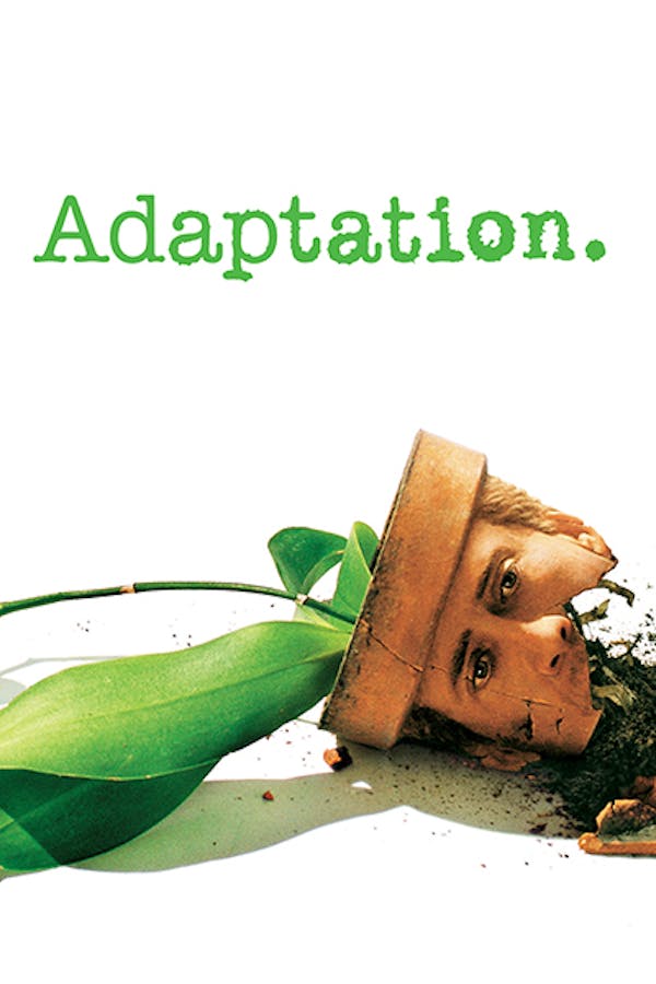 Adaption Stream Adaption Stream