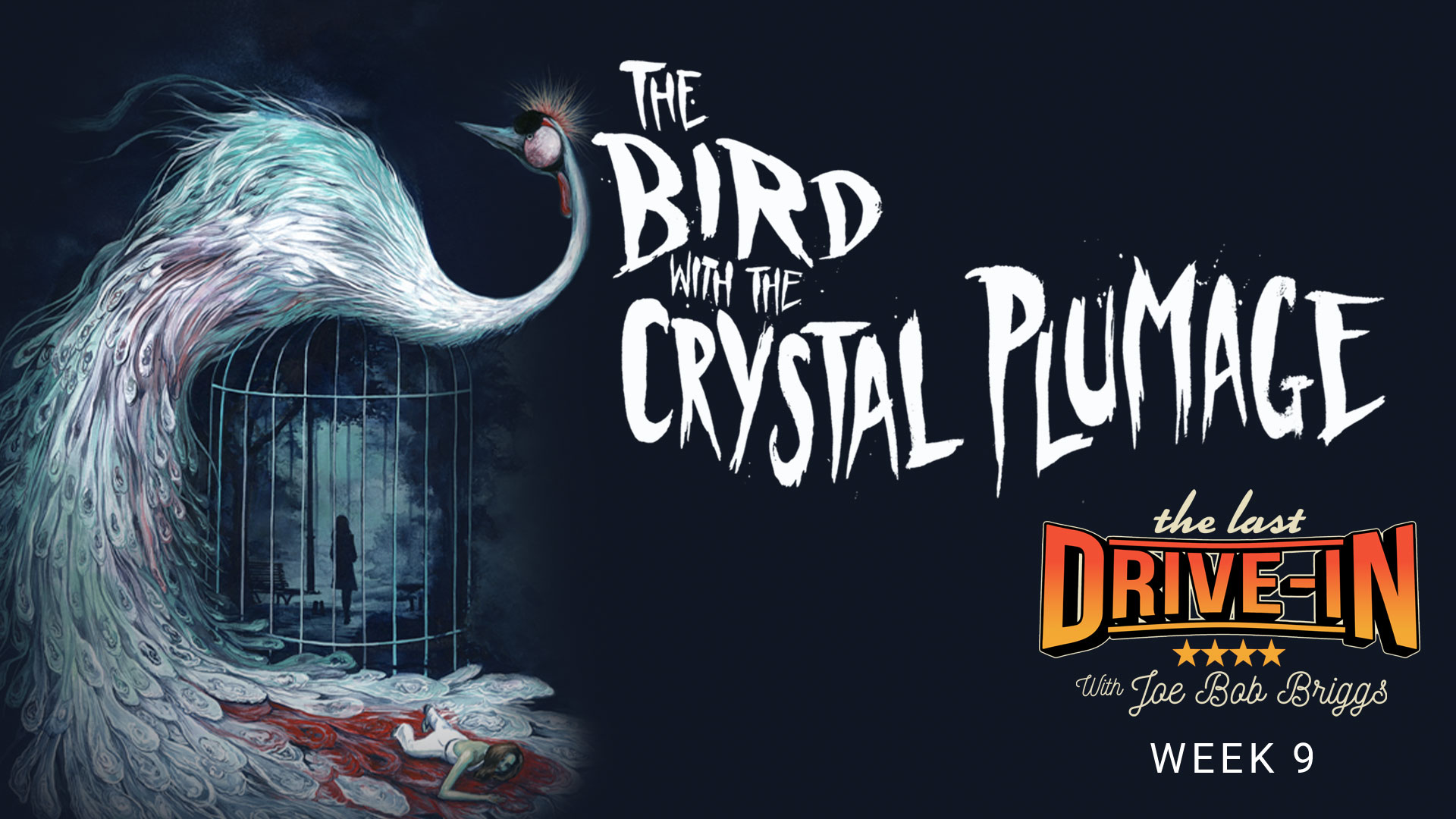 "Week 9: The Bird with the Crystal Plumage"