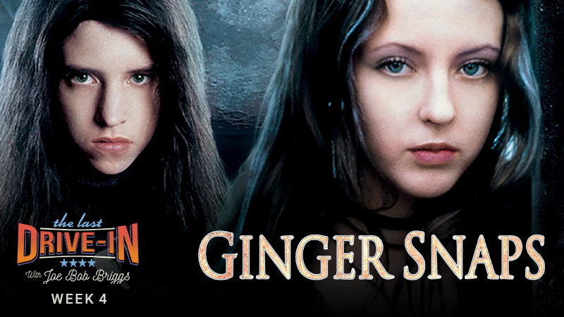 "Week 4: Ginger Snaps"