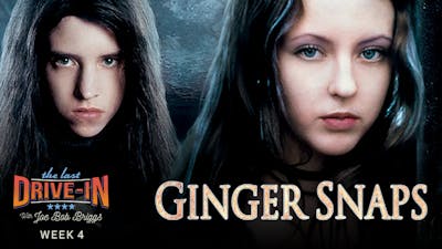 "Week 4: Ginger Snaps"
