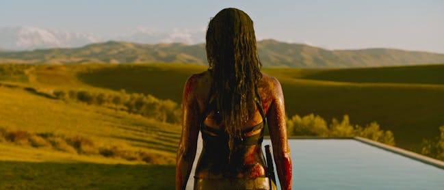 "Sun-Drenched Dread for Cold Winter Nights"