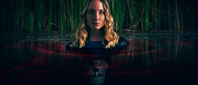 "Thrillers and Mysteries"