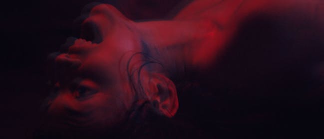 "Terror Transgressive"