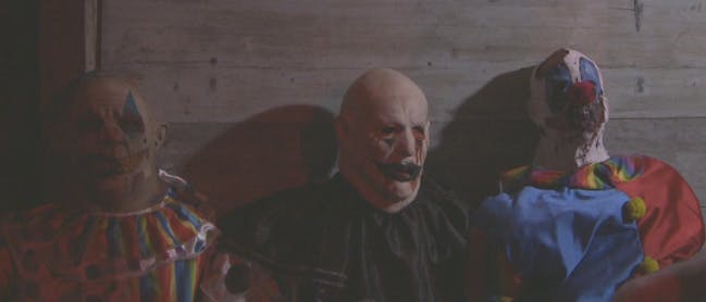 "Spotlight on Director Stephen Cognetti"