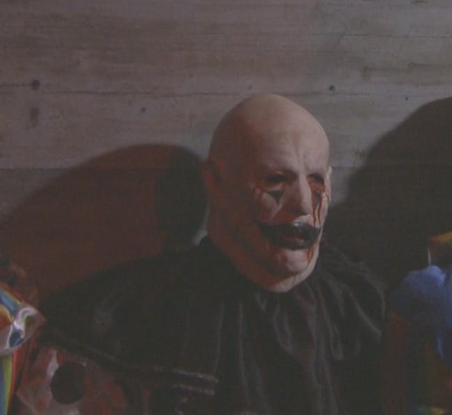 "Spotlight on Director Stephen Cognetti"