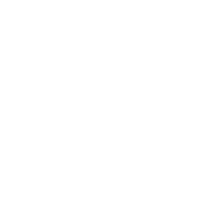 Guest Curator: Tina Romero