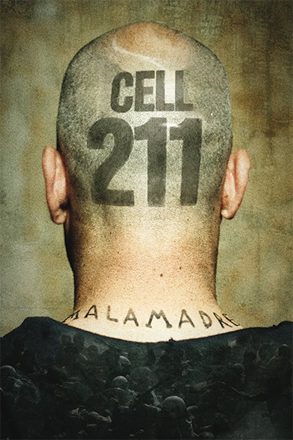 Cell 211