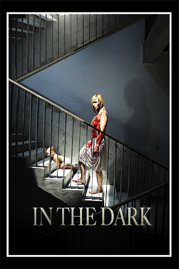 In the Dark (aka The Sublet)