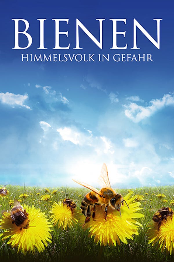 Bienen Himmelsvolk in Gefahr
