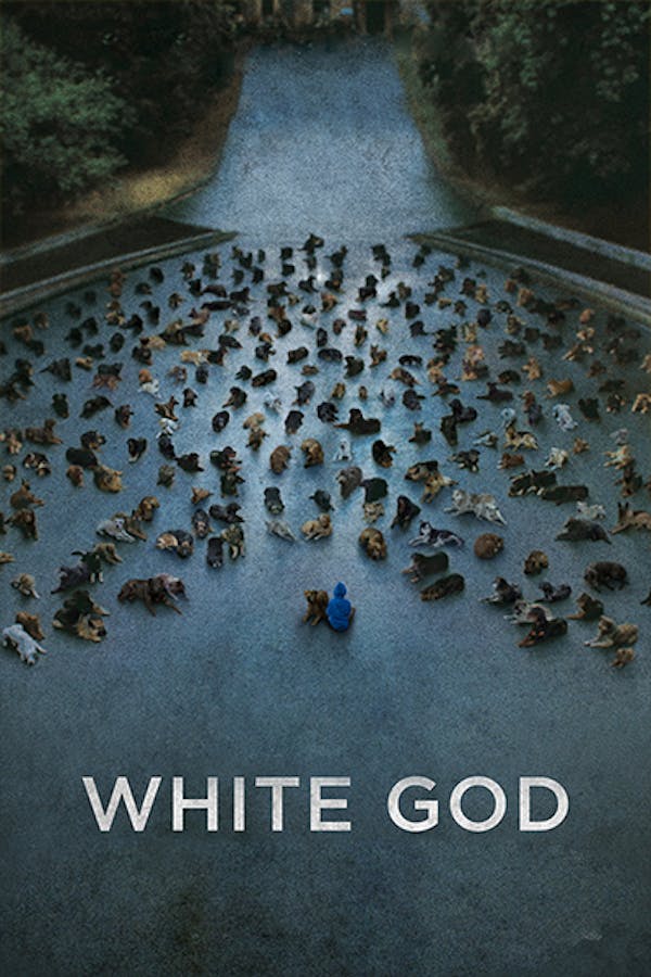 White God