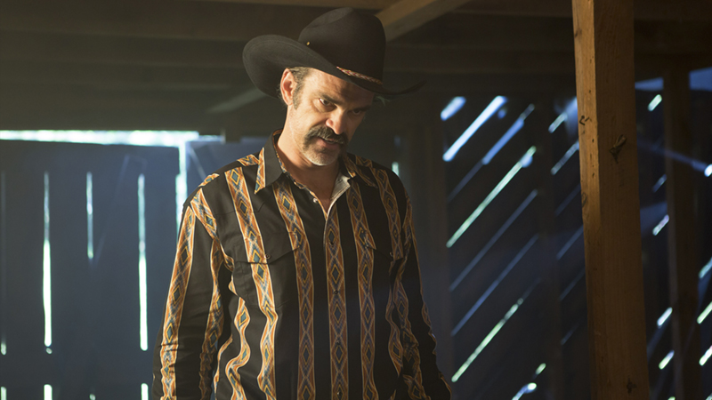 "3. Curse of the Werepony"