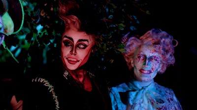 "1. Terror In The Woods"