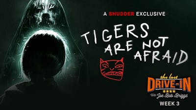 "Week 3: Tigers Are Not Afraid"