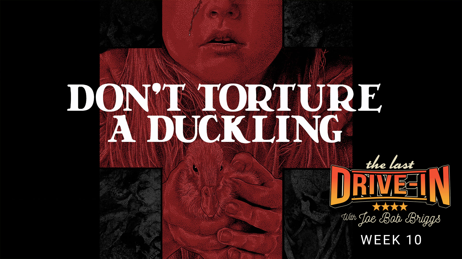 "Week 10: Don't Torture a Duckling"