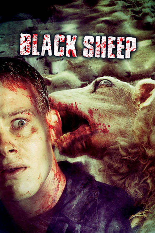 Black Sheep