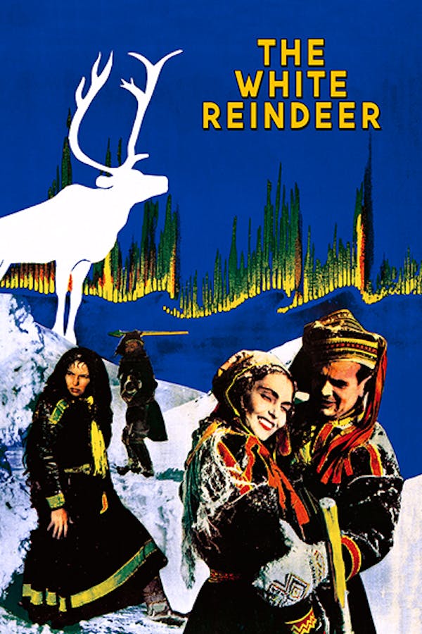The White Reindeer