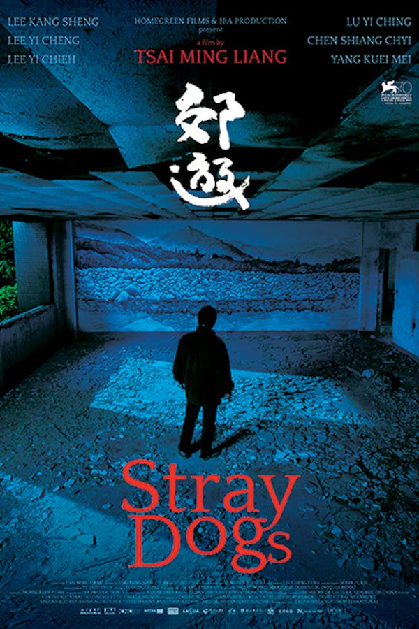 Stray Dogs