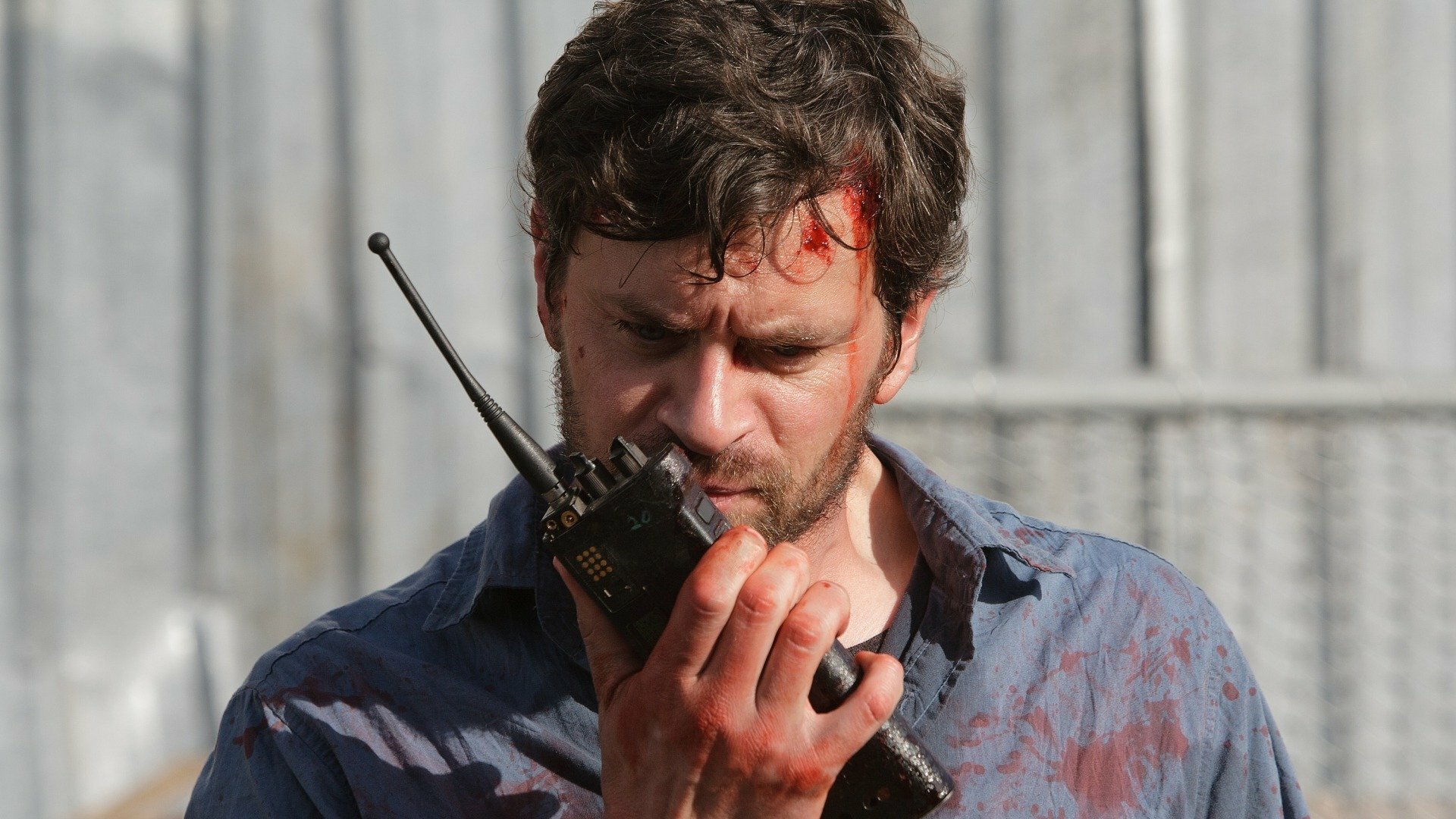 "1. Puppies and Kittens"