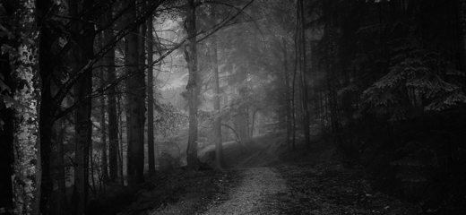 There’s Something In The Woods, Jennifer Tilly’s Bored In The House And MORE!
