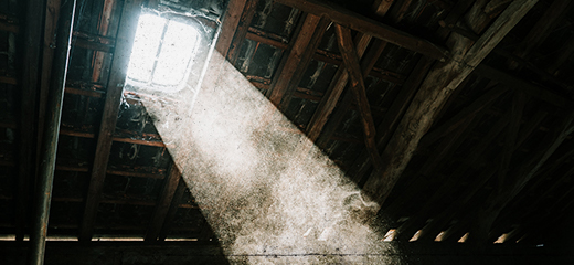 Trauma And Isolation In FLOWERS IN THE ATTIC, Spooky Wrapping Paper, And More